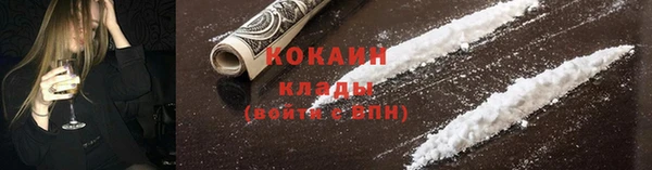 индика Белокуриха