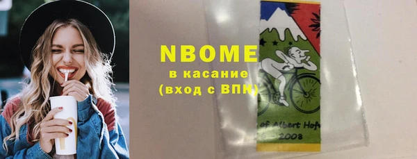 mdpv Бородино