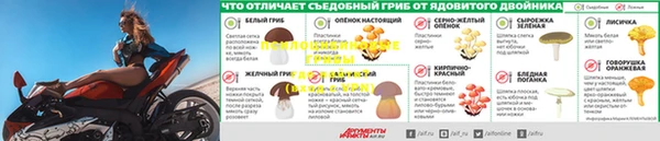 мескалин Бронницы