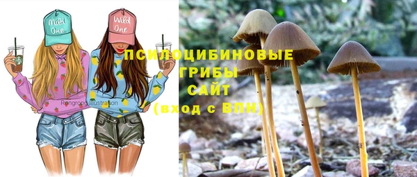 каннабис Богородицк