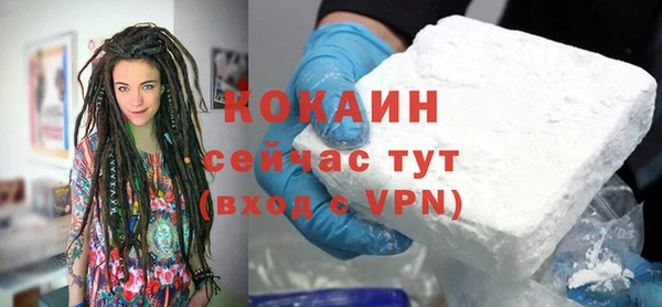 mdpv Бородино