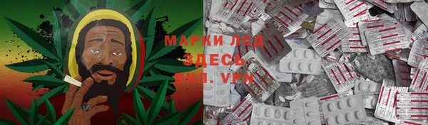 mdpv Бородино